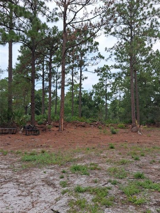 En Venta: $49,000 (0.23 acres)