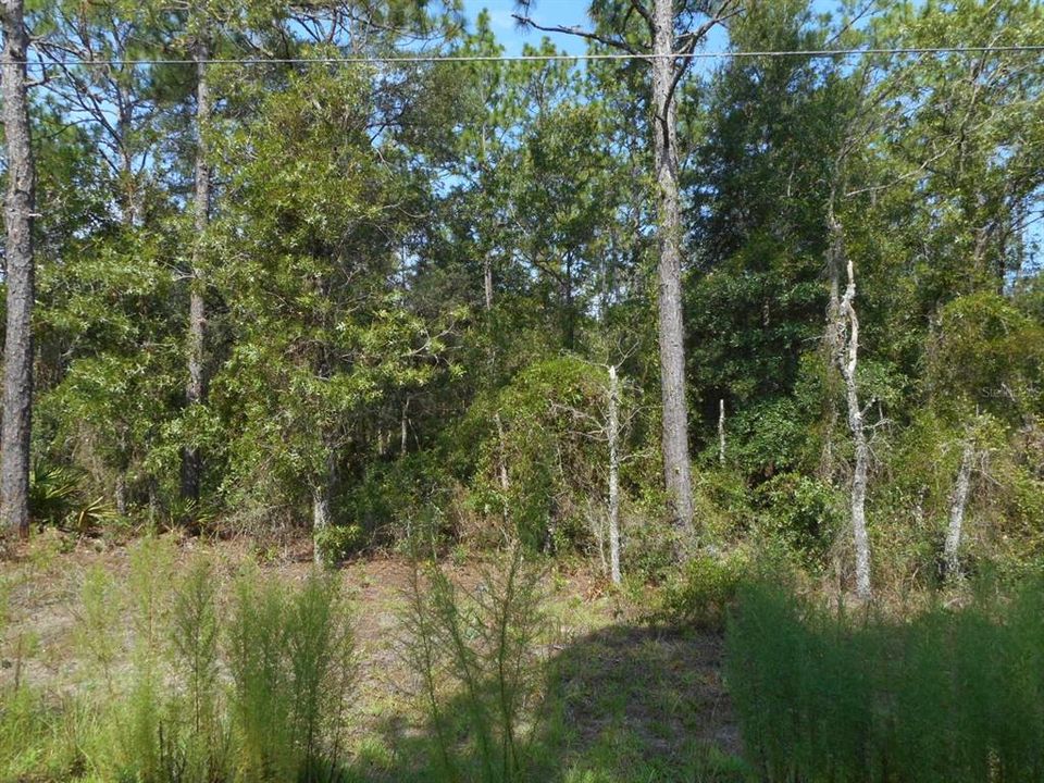 Vendido Recientemente: $65,000 (1.16 acres)