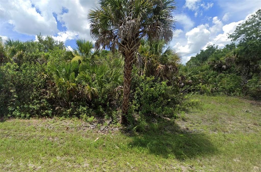 For Sale: $35,000 (0.46 acres)