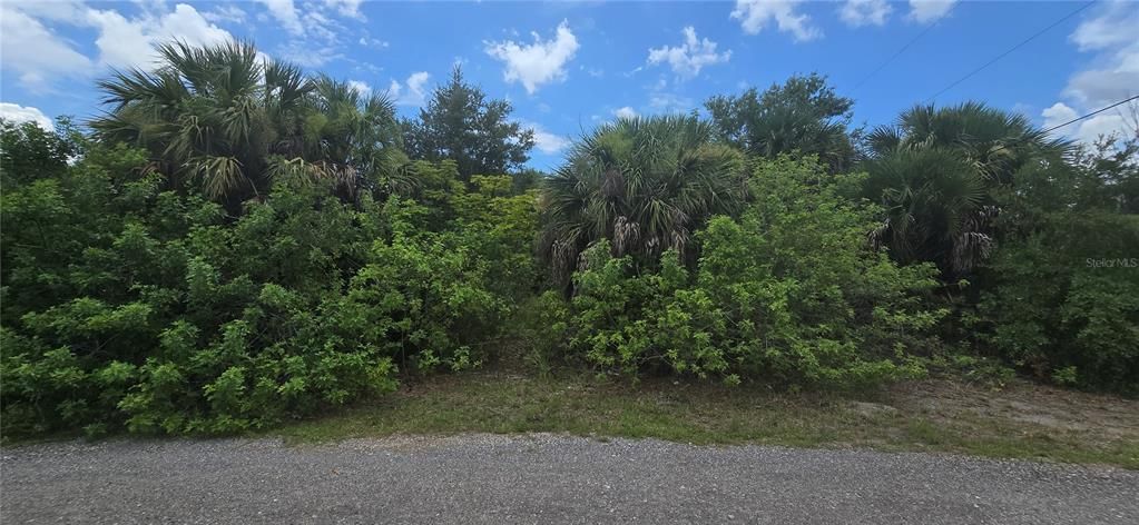 На продажу: $74,000 (0.40 acres)