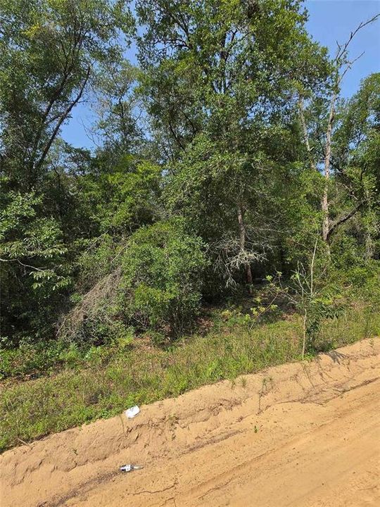 En Venta: $29,000 (0.22 acres)