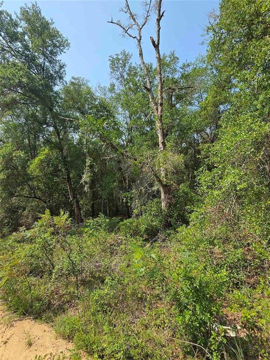 En Venta: $29,000 (0.22 acres)