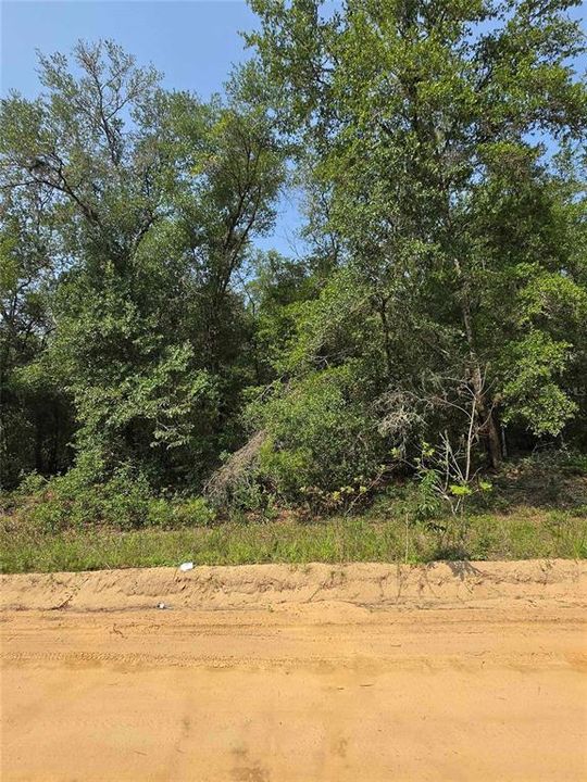 En Venta: $29,000 (0.22 acres)