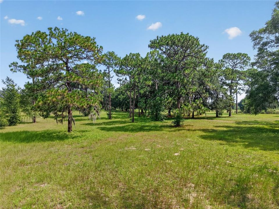 En Venta: $698,000 (4 camas, 2 baños, 1829 Pies cuadrados)