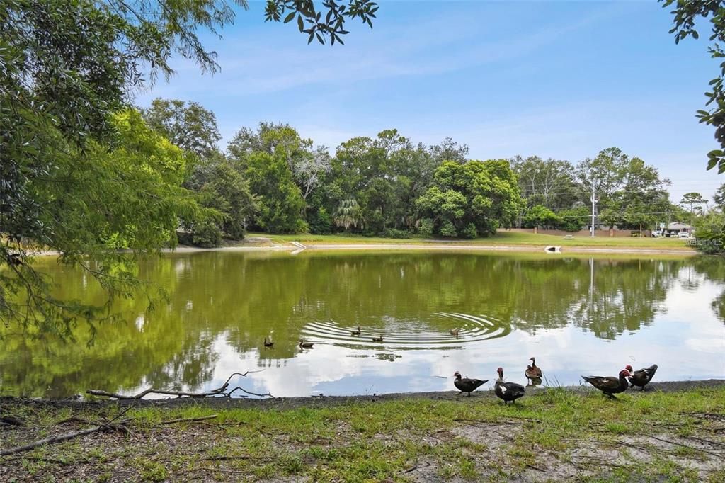 For Sale: $234,900 (2 beds, 2 baths, 1166 Square Feet)