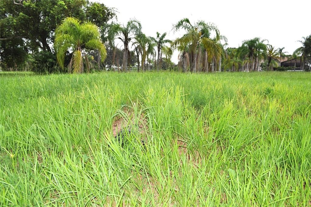 En Venta: $1,550,000 (5.00 acres)