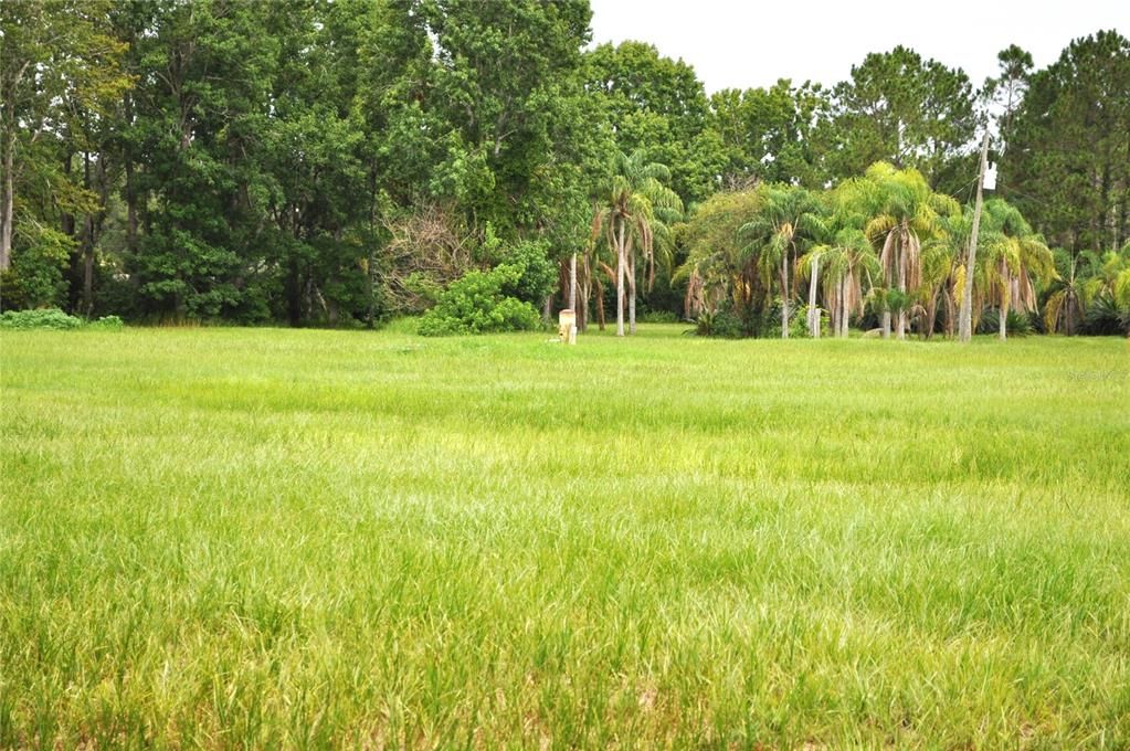 En Venta: $1,550,000 (5.00 acres)