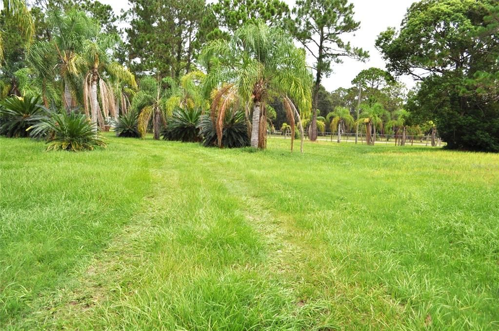 En Venta: $1,550,000 (5.00 acres)