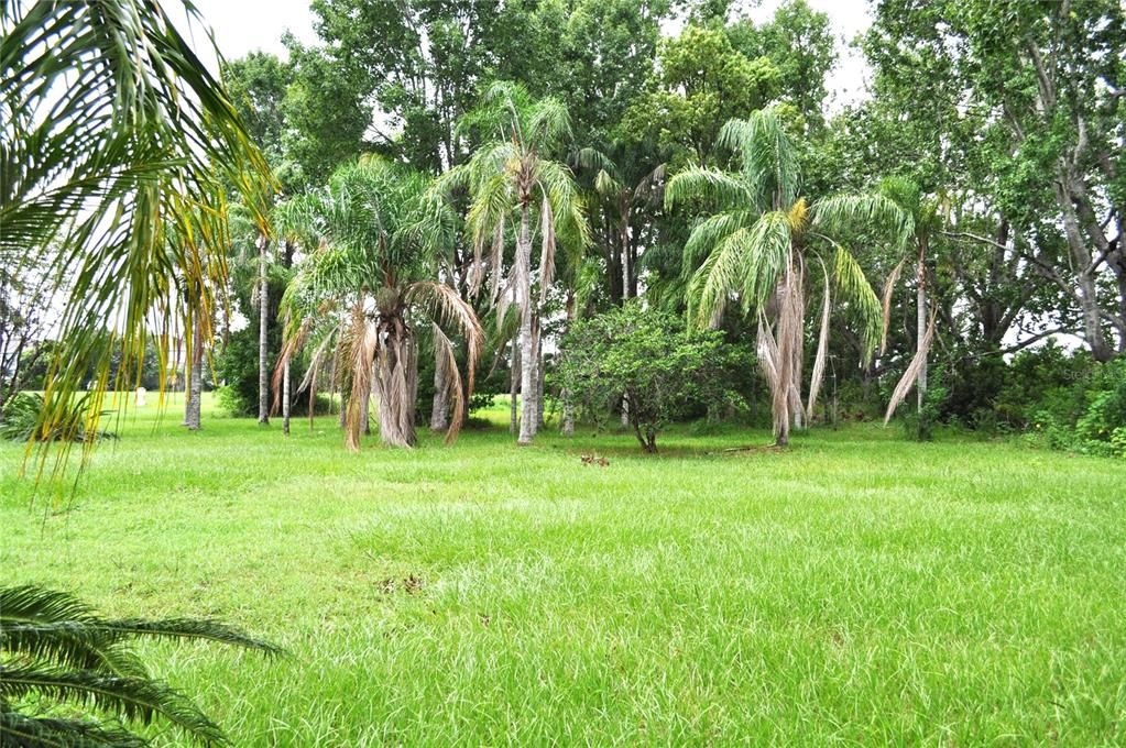 En Venta: $1,550,000 (5.00 acres)