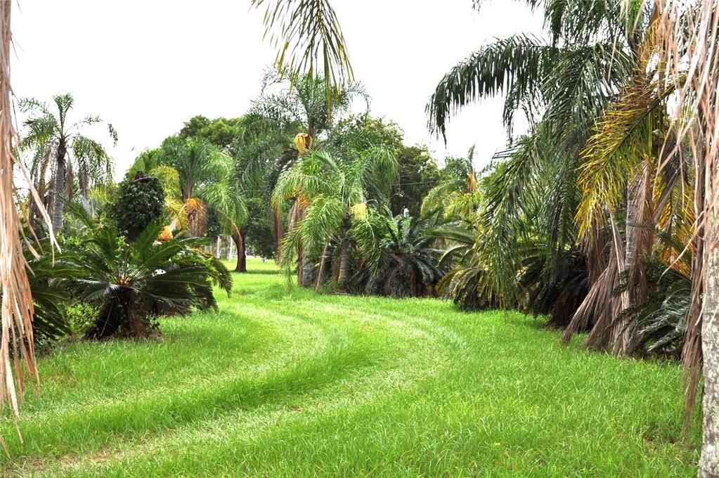 En Venta: $1,550,000 (5.00 acres)