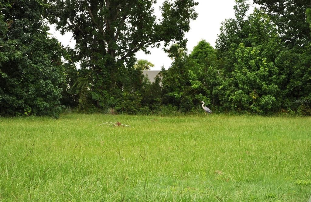 En Venta: $1,550,000 (5.00 acres)