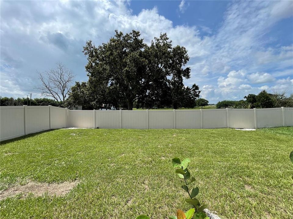 For Rent: $2,100 (4 beds, 2 baths, 1816 Square Feet)