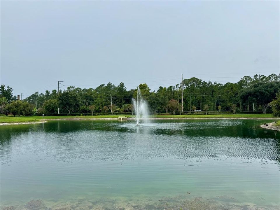 For Rent: $2,750 (4 beds, 2 baths, 1952 Square Feet)