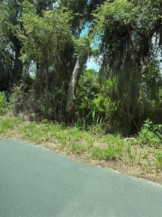 For Sale: $600,000 (1.89 acres)