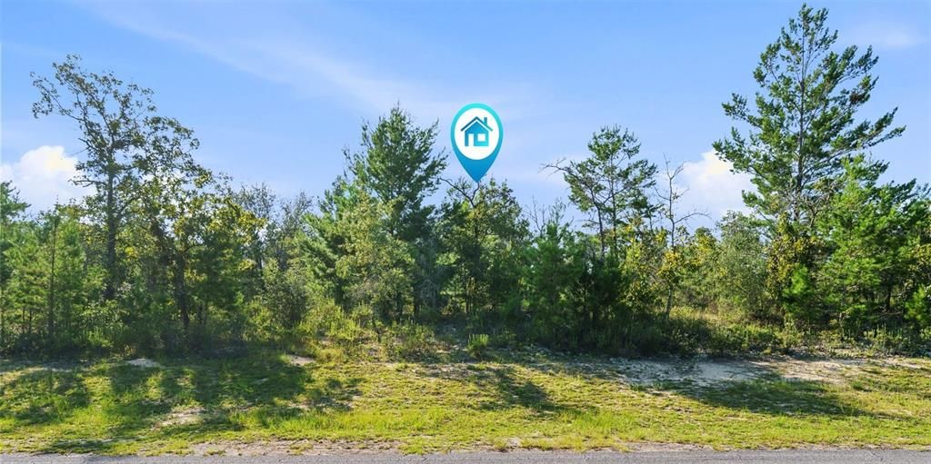For Sale: $15,900 (0.29 acres)
