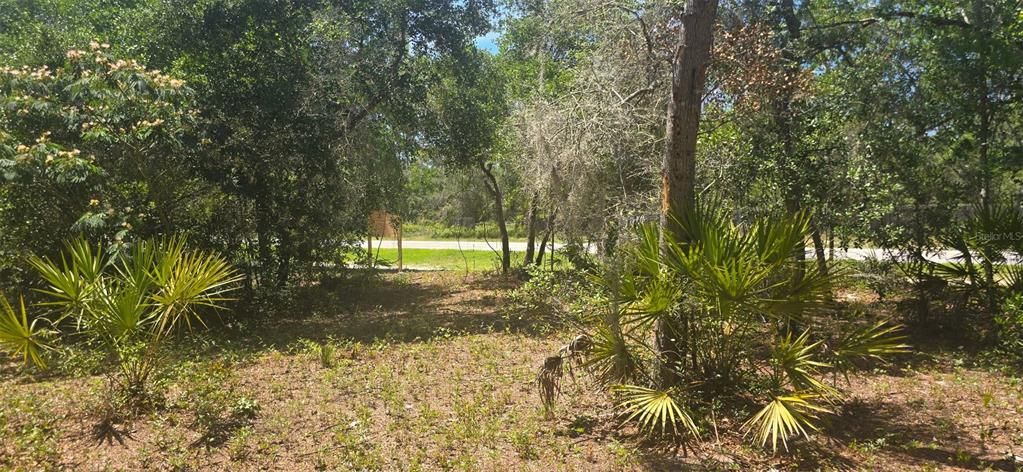 En Venta: $28,000 (0.33 acres)