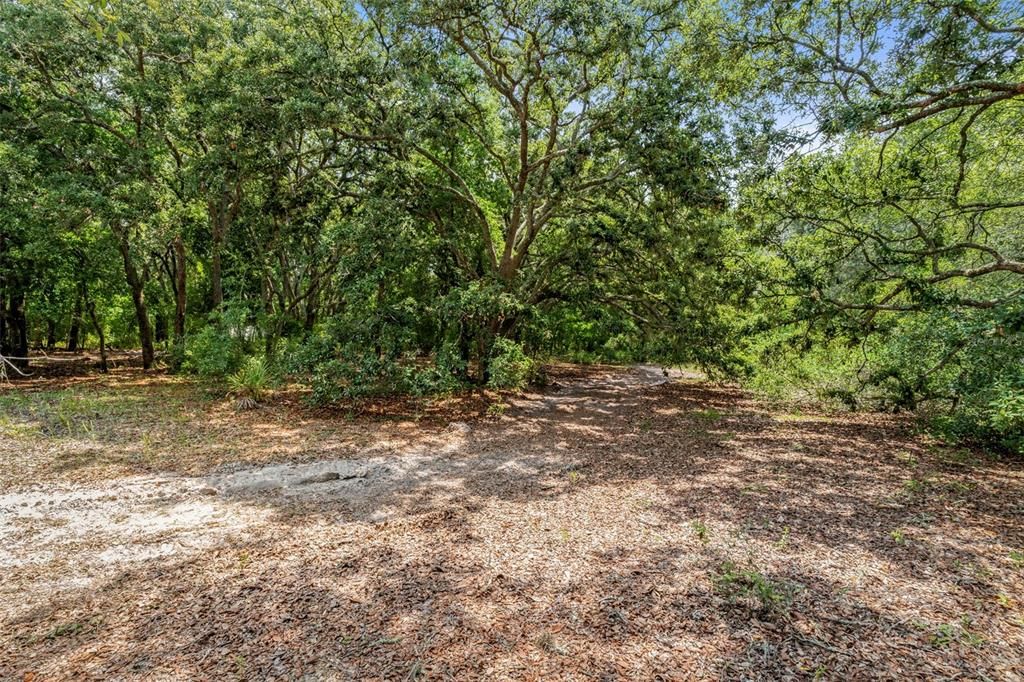 待售: $89,000 (1.78 acres)