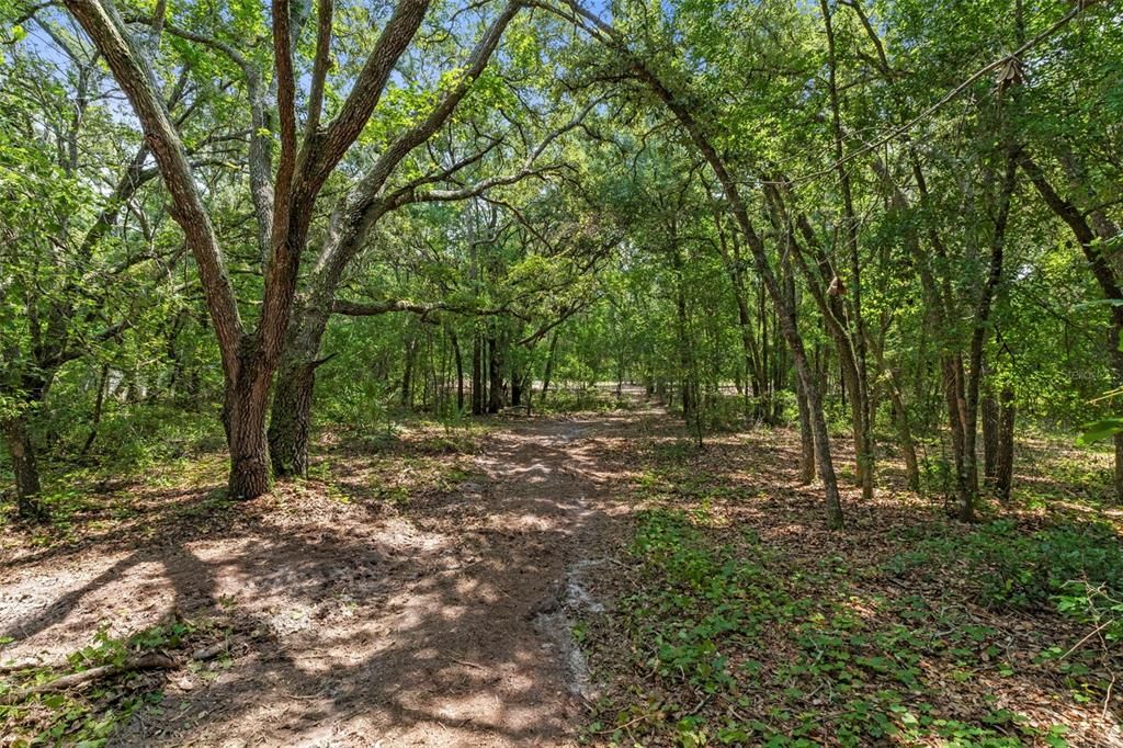 待售: $89,000 (1.78 acres)