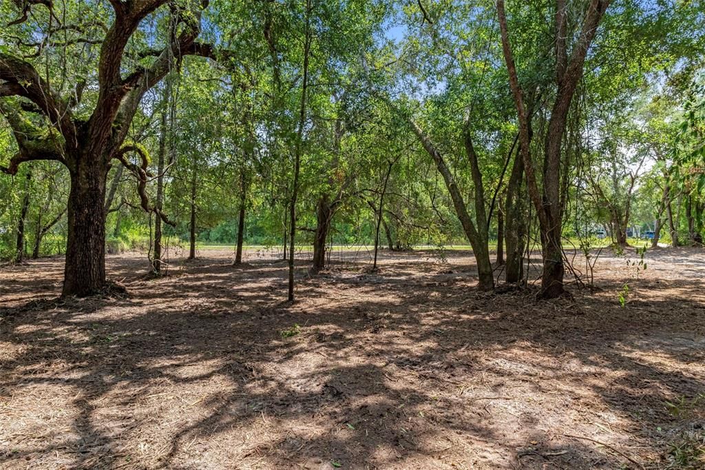 待售: $89,000 (1.78 acres)