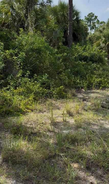 For Sale: $30,000 (0.23 acres)