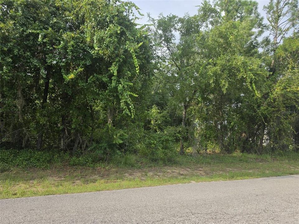 For Sale: $54,800 (0.96 acres)