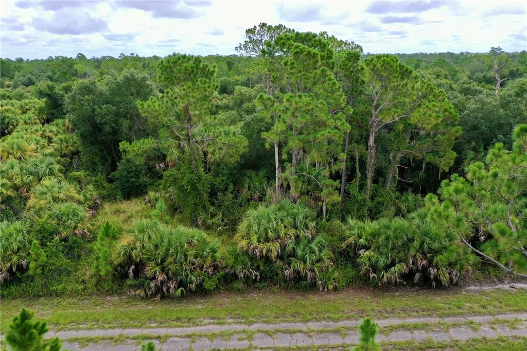 For Sale: $11,800 (0.23 acres)