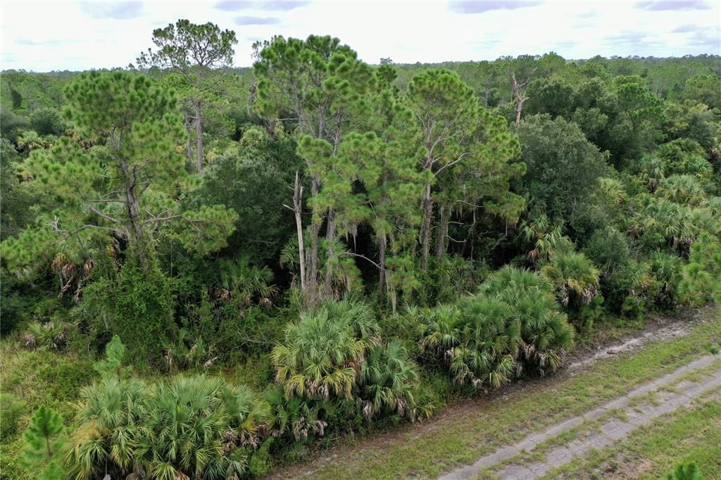 For Sale: $11,800 (0.23 acres)