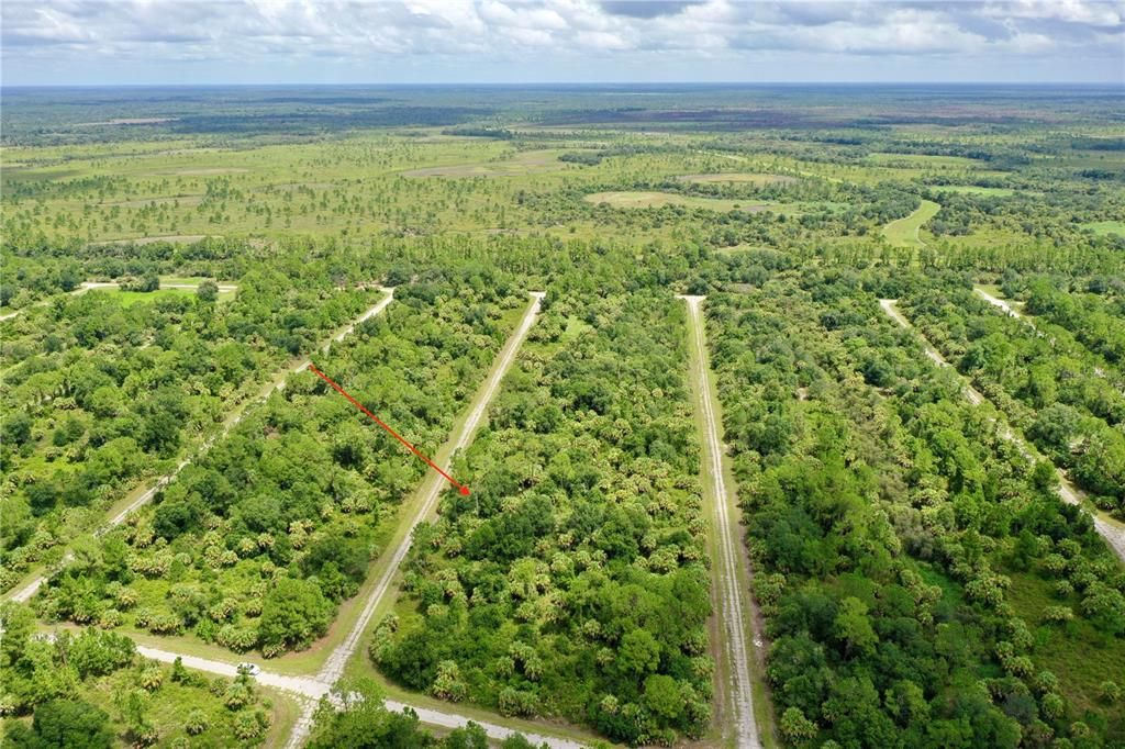 For Sale: $11,800 (0.23 acres)