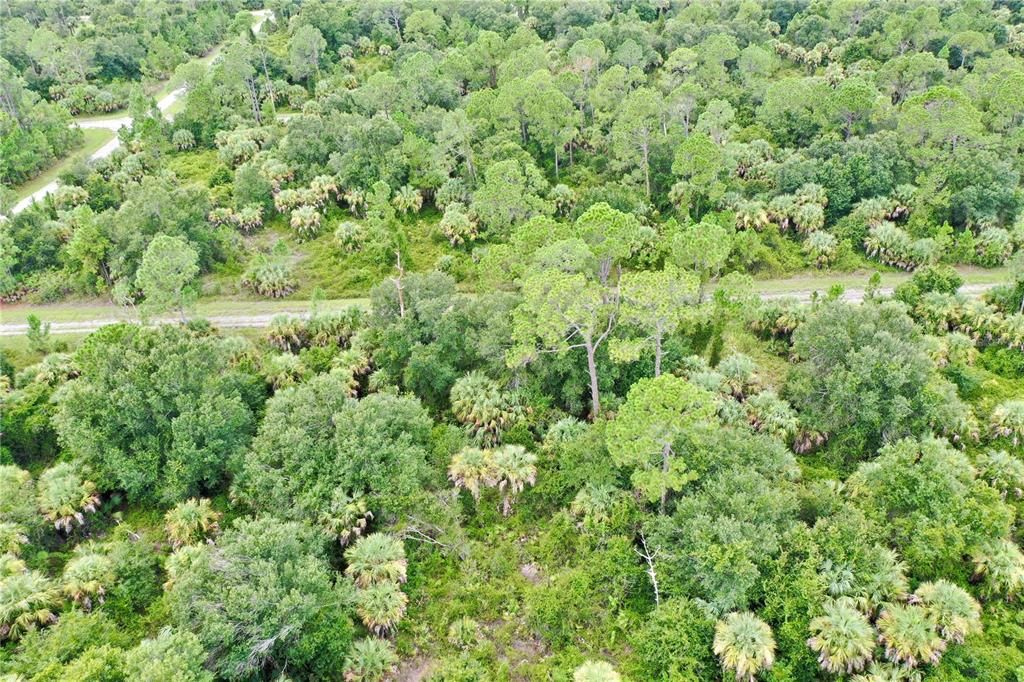 For Sale: $11,800 (0.23 acres)