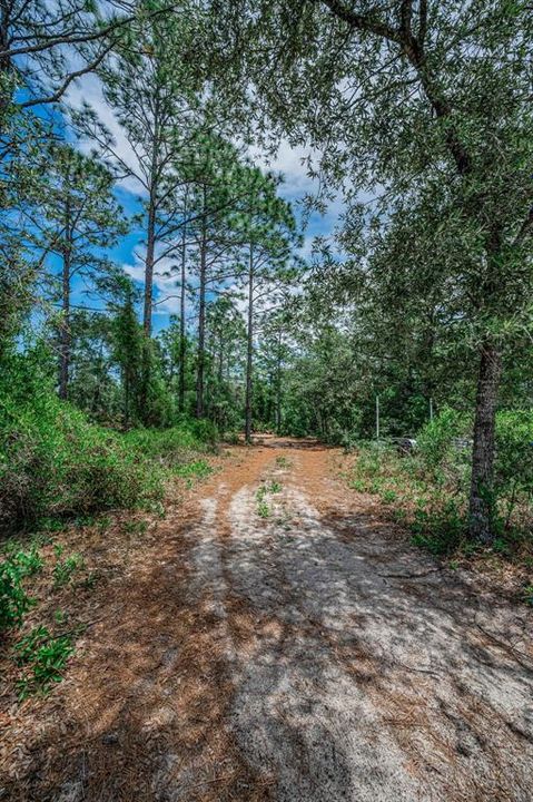 En Venta: $65,000 (0.46 acres)
