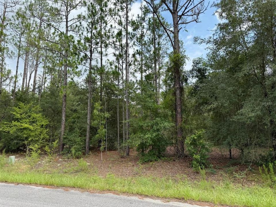 На продажу: $25,000 (0.35 acres)