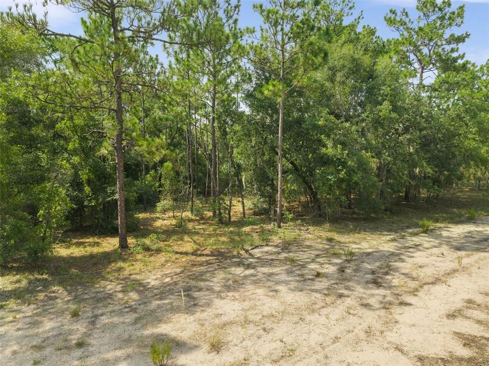 En Venta: $12,000 (0.23 acres)