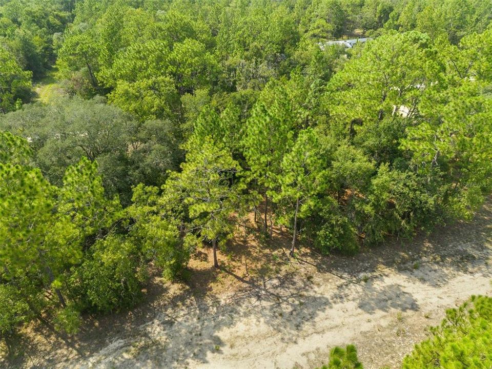 En Venta: $12,000 (0.23 acres)