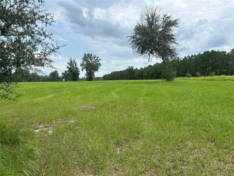 For Sale: $350,000 (10.05 acres)