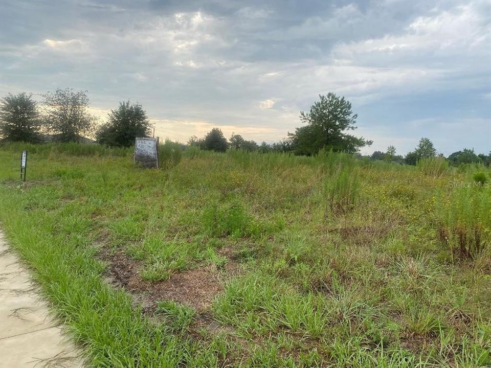 En Venta: $349,000 (1.46 acres)