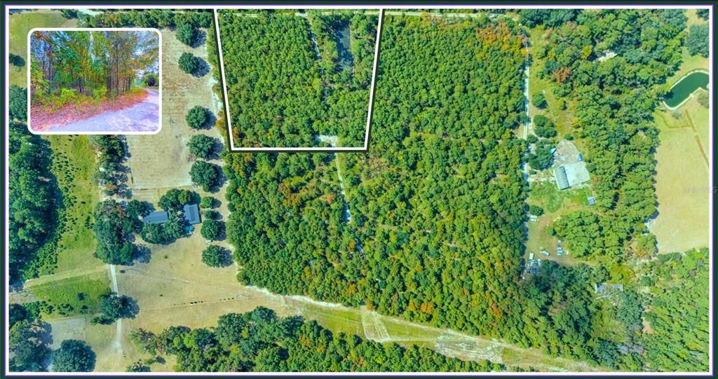 For Sale: $59,900 (5.75 acres)