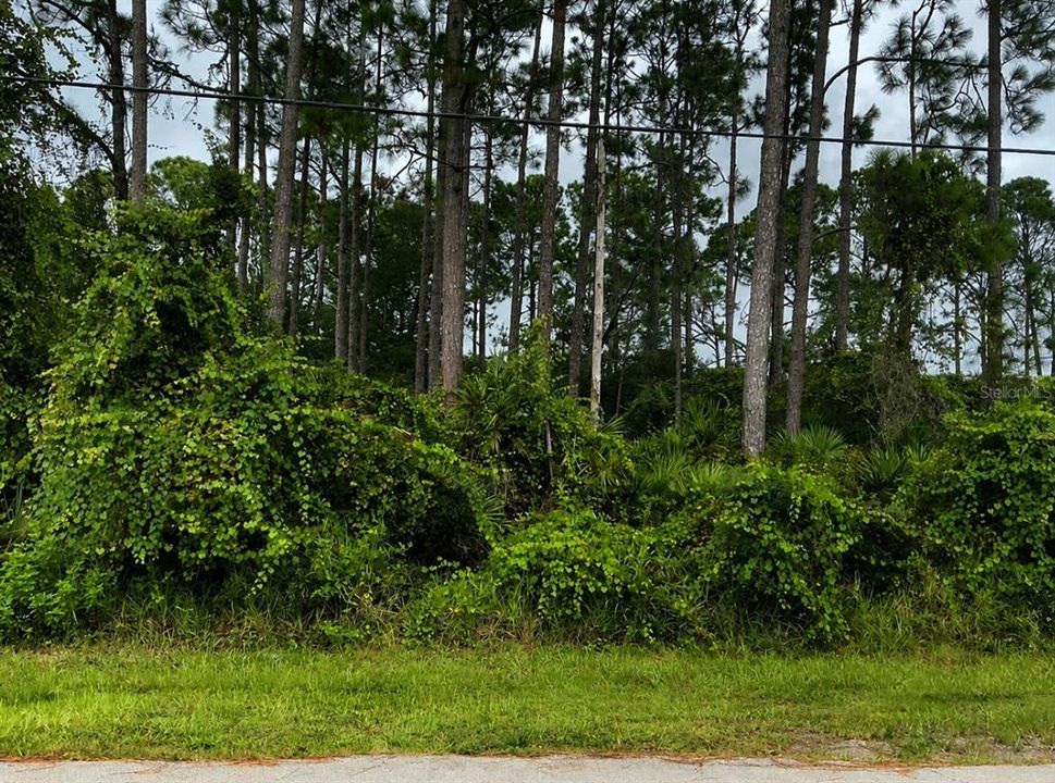 На продажу: $62,900 (0.23 acres)