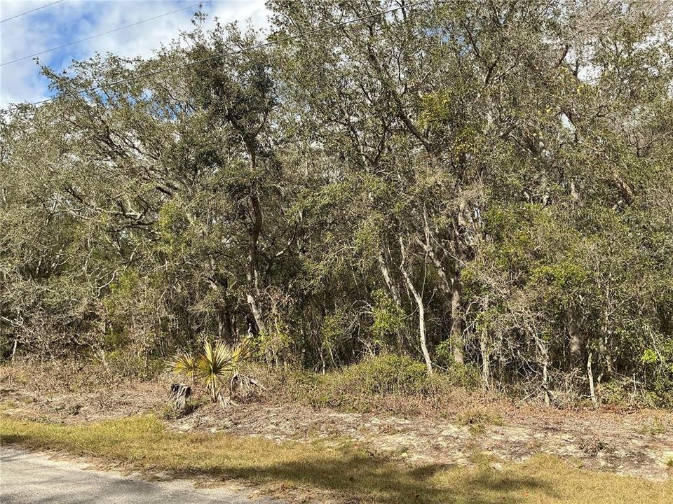 For Sale: $15,500 (0.23 acres)