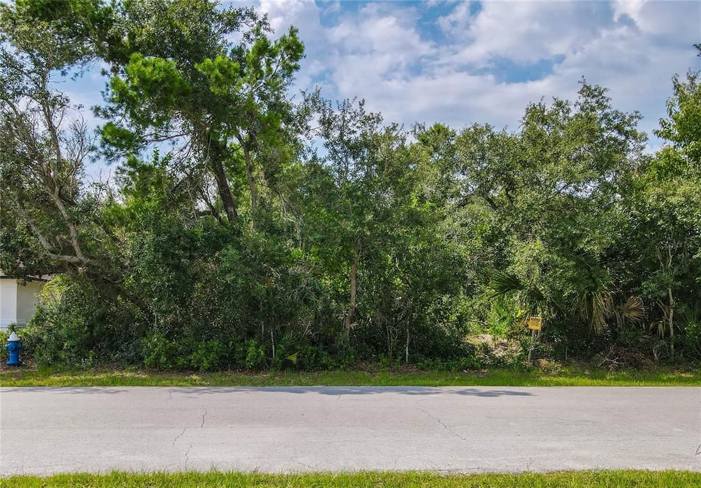 For Sale: $85,000 (0.23 acres)