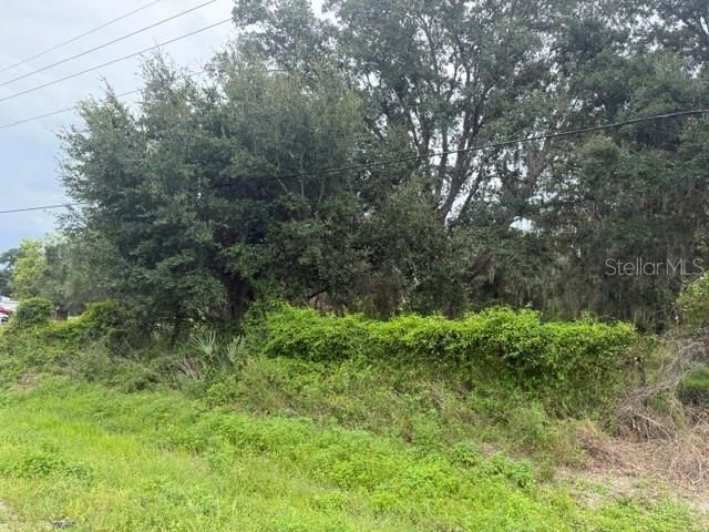 На продажу: $125,000 (0.92 acres)