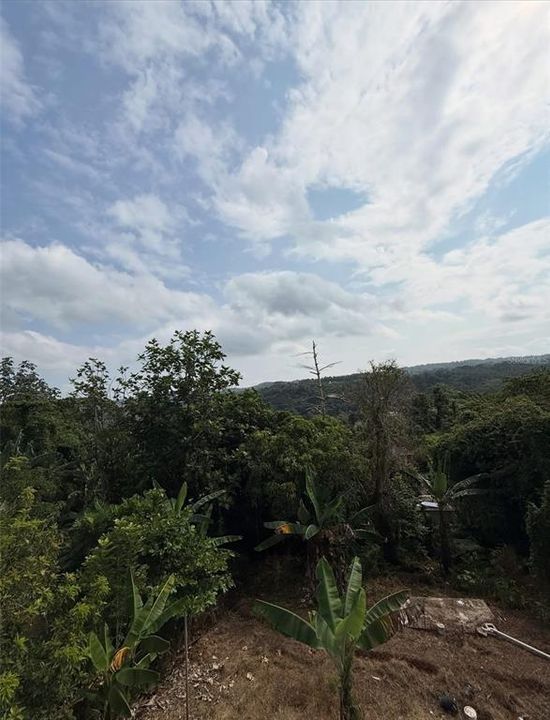 En Venta: $220,000 (6 camas, 3 baños, 1788 Pies cuadrados)