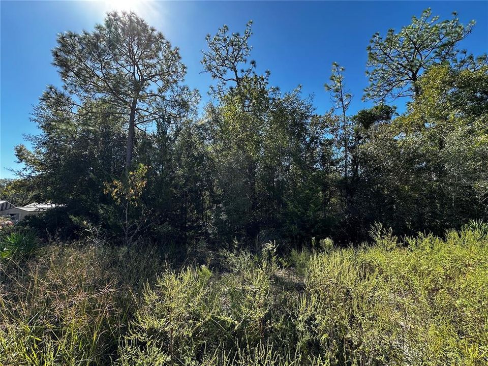For Sale: $10,000 (0.24 acres)