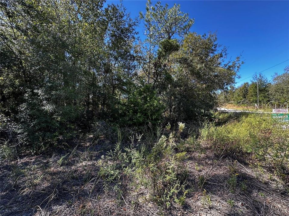 For Sale: $10,000 (0.24 acres)