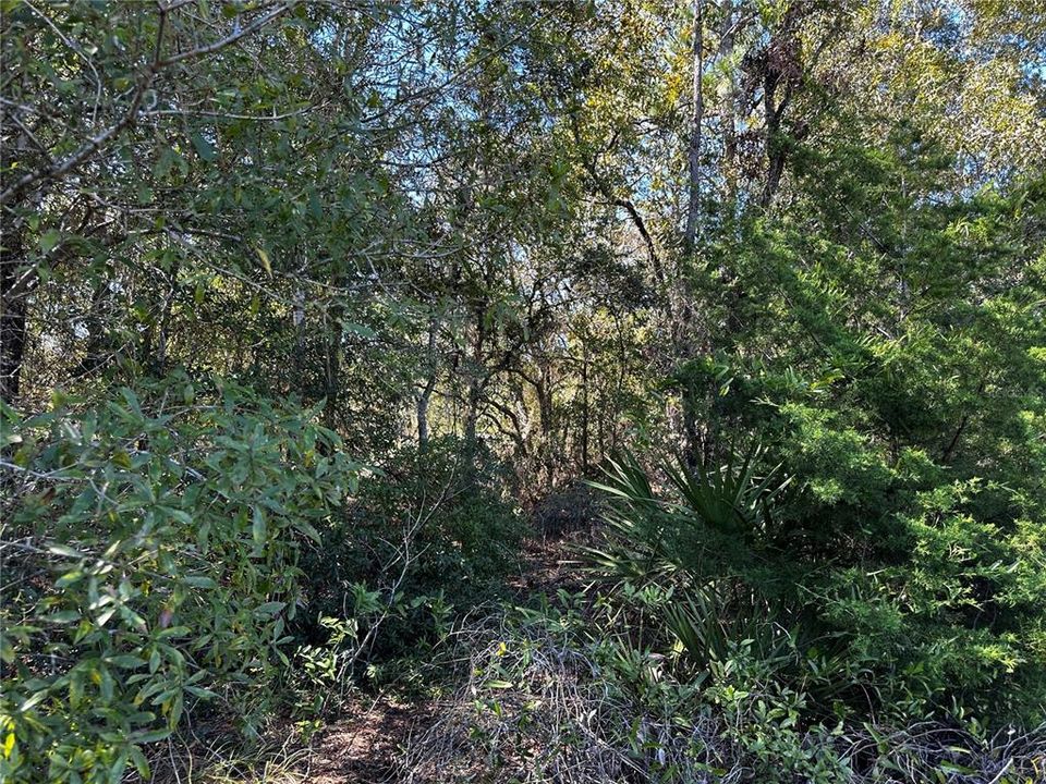 For Sale: $10,000 (0.24 acres)