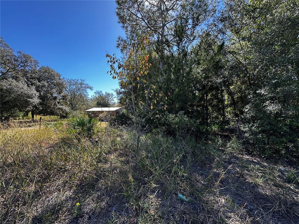 For Sale: $10,000 (0.24 acres)