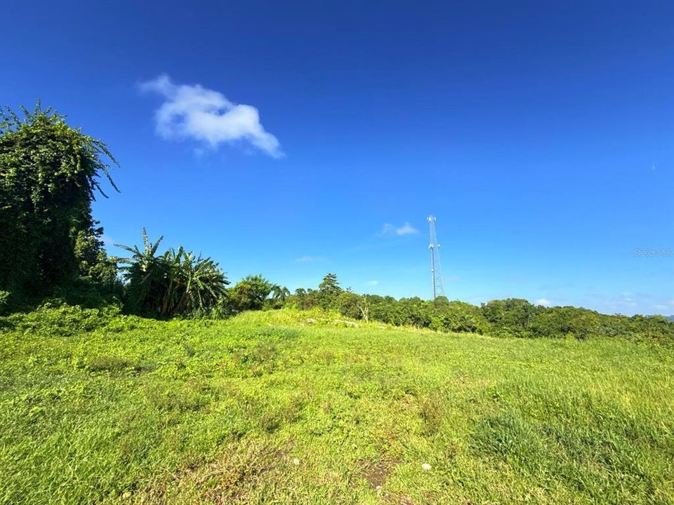 For Sale: $75,000 (2.43 acres)