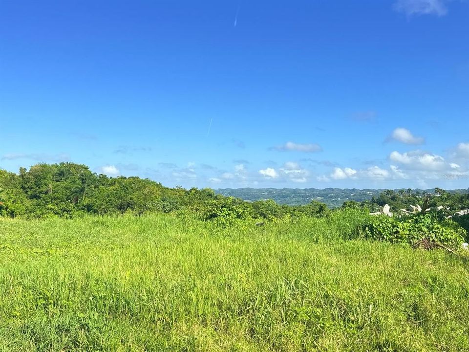 For Sale: $75,000 (2.43 acres)