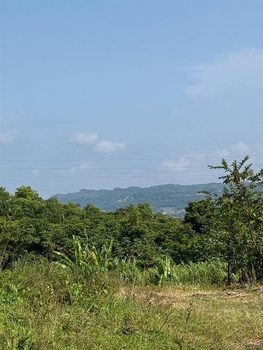 For Sale: $75,000 (2.43 acres)