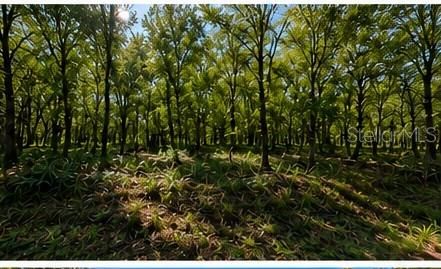 For Sale: $68,999 (0.62 acres)