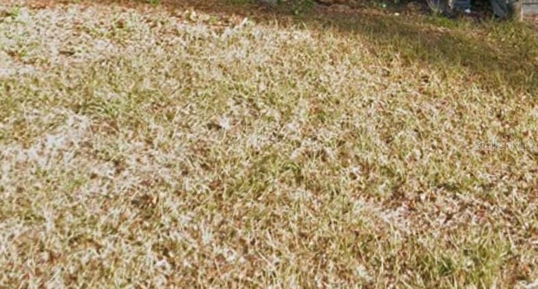 最近售出: $49,500 (0.09 acres)